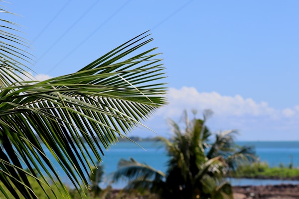 Explore Apia: A Concise Guide to Samoa's Capital City