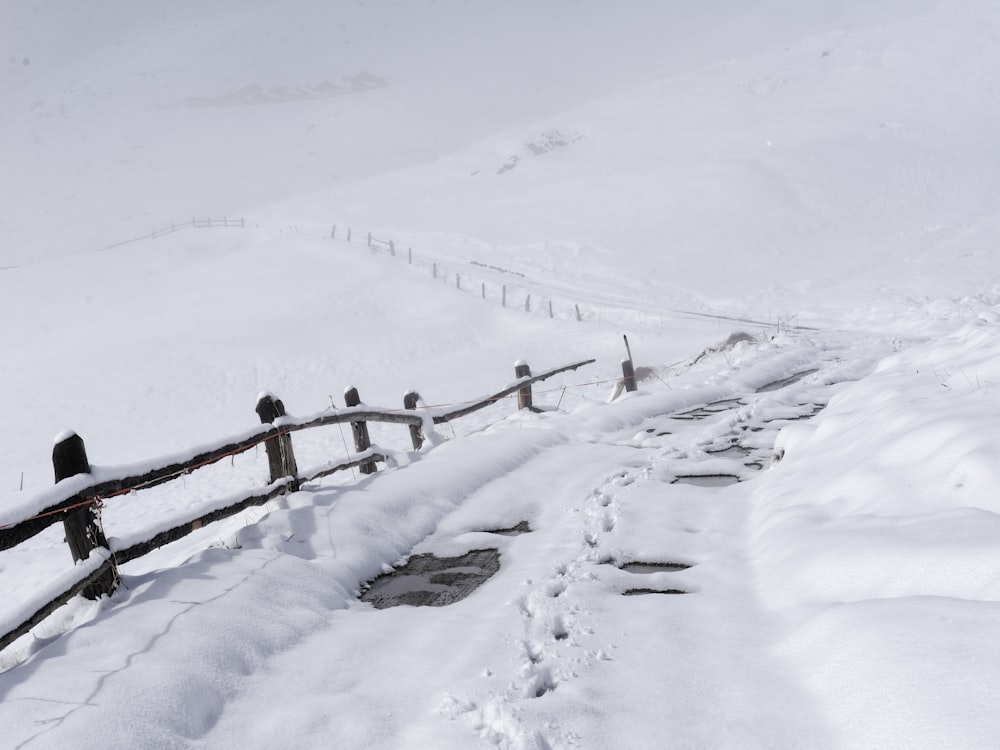 pathway during winter