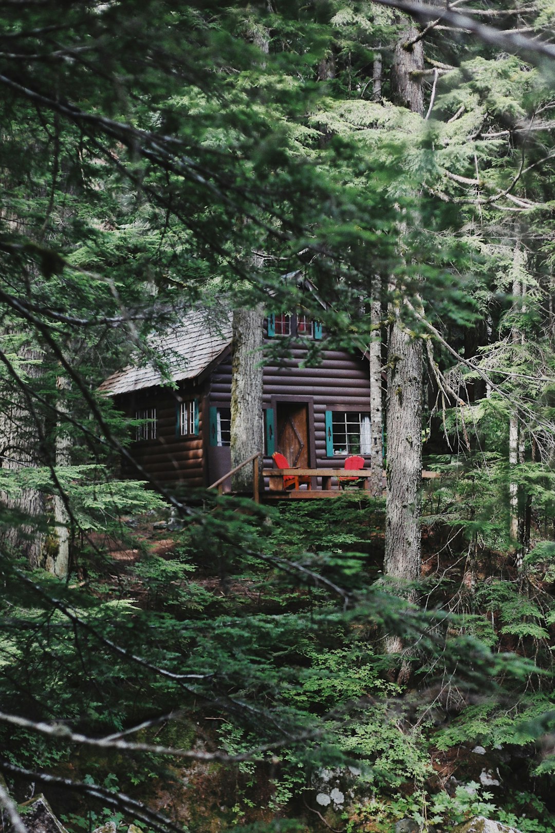 cabin in wood