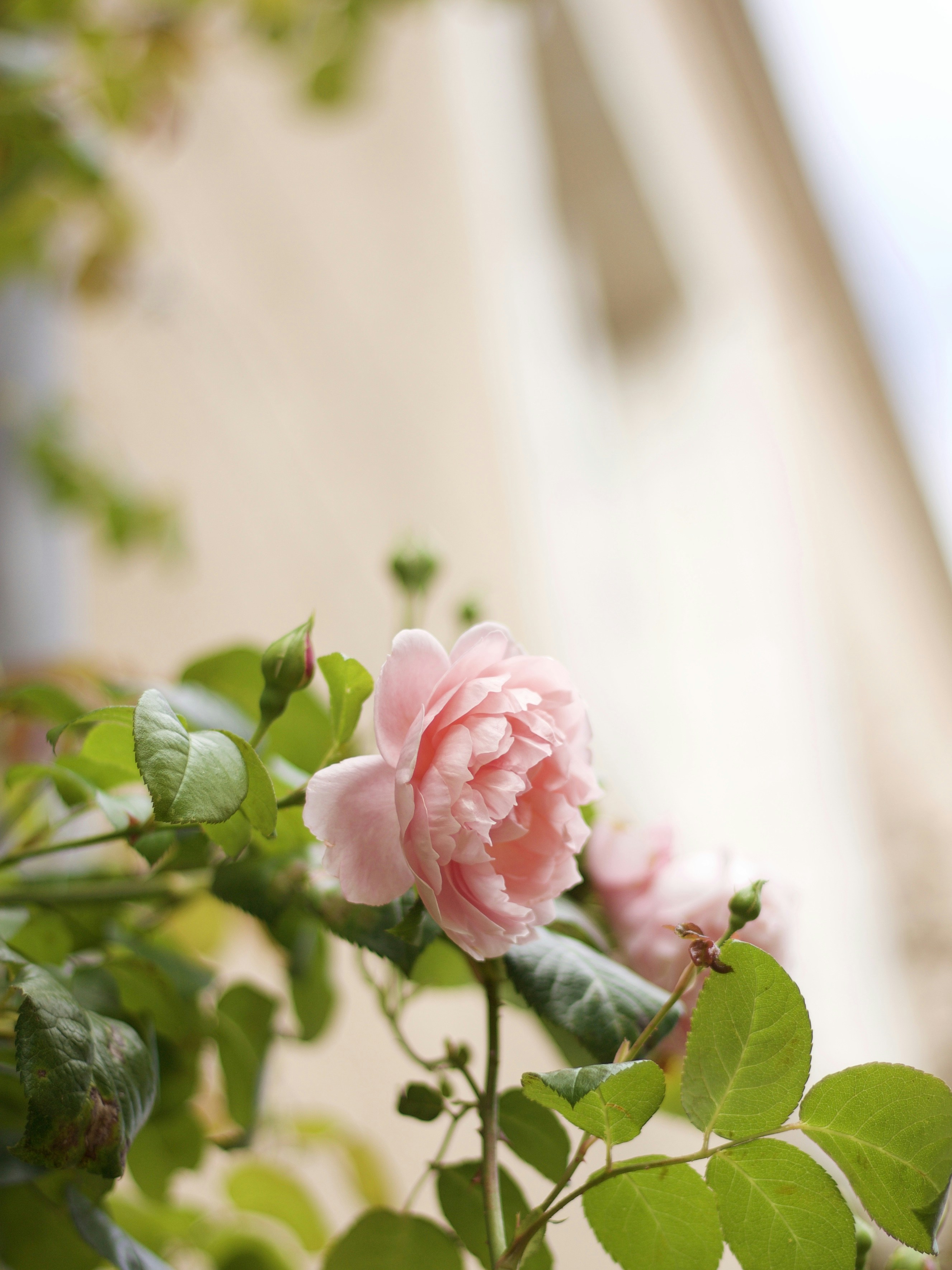 Photo by themiscellanista