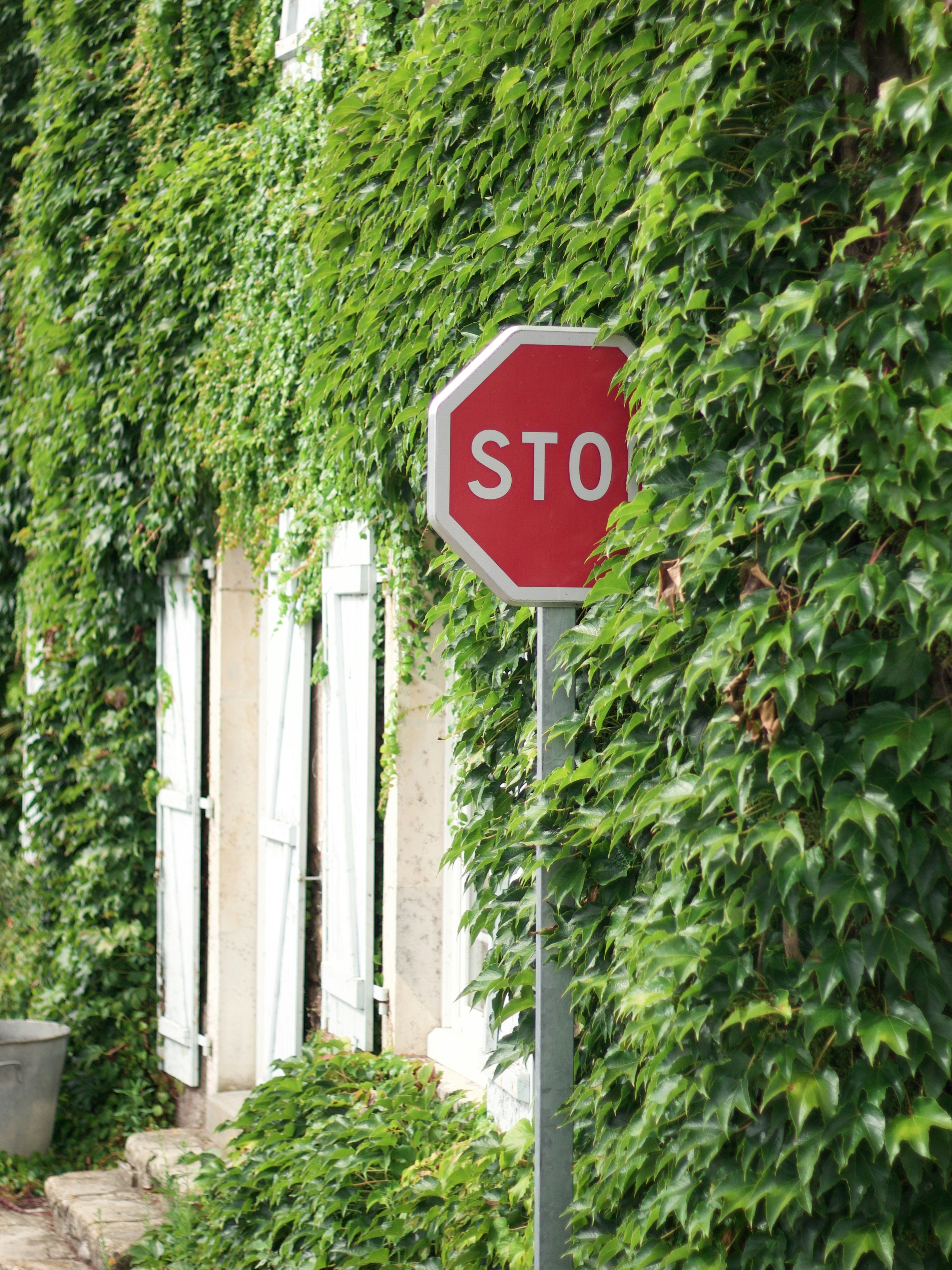 9 Ways to Speed Up Your Custom Outdoor Sign Projects