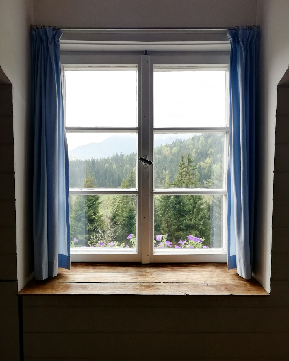photo of white glass panel window with blue curtain