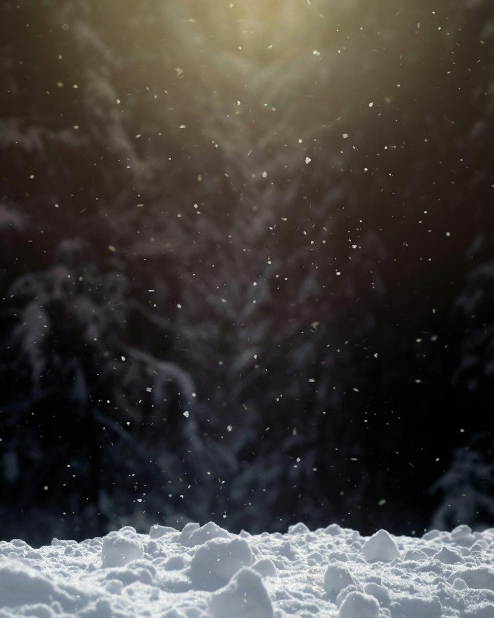 a snow covered field with a bright sun in the background