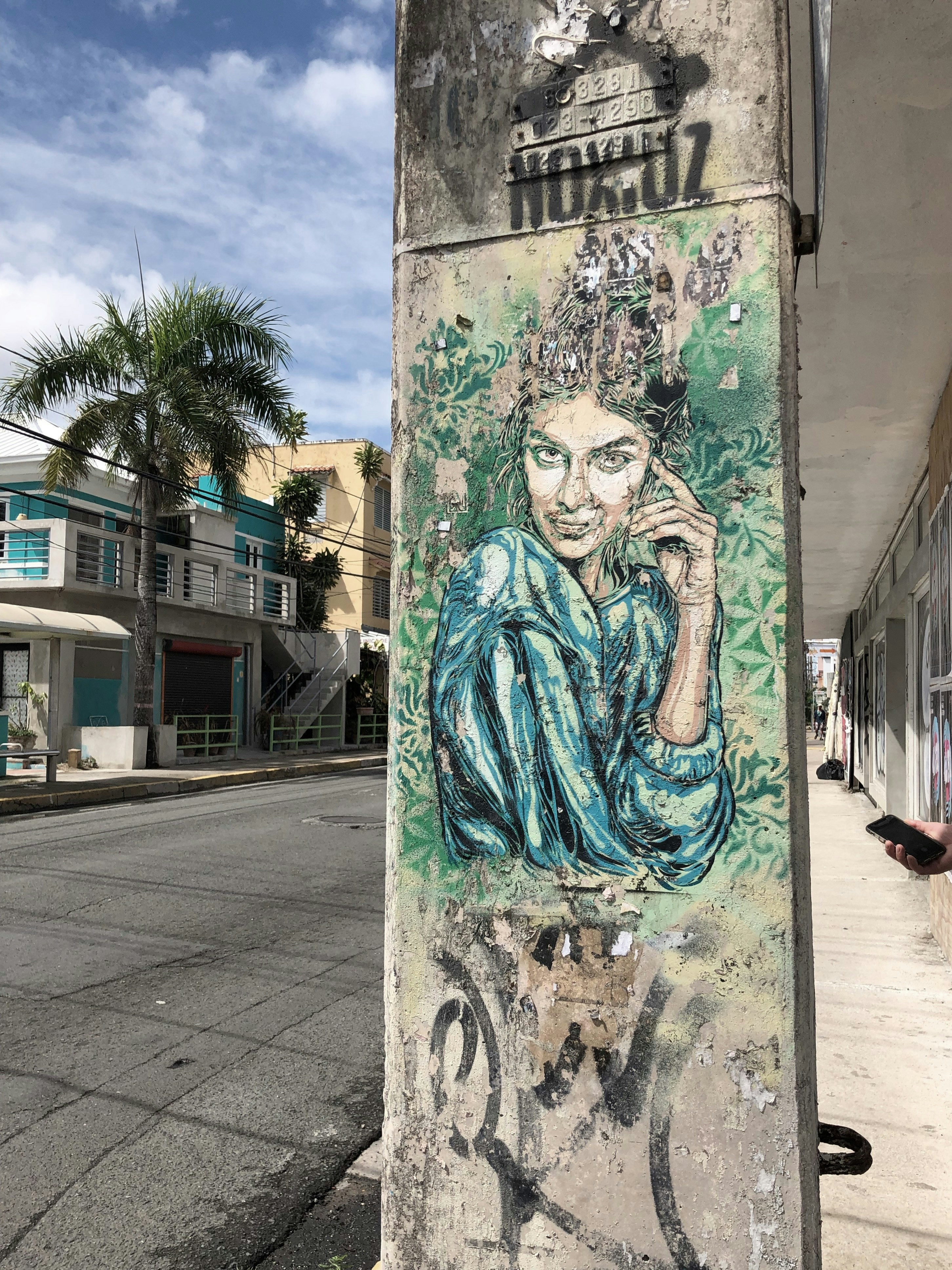 Profile Of Woman Wearing Blue Dress Graffiti Wall Art Photo Free Art Image On Unsplash