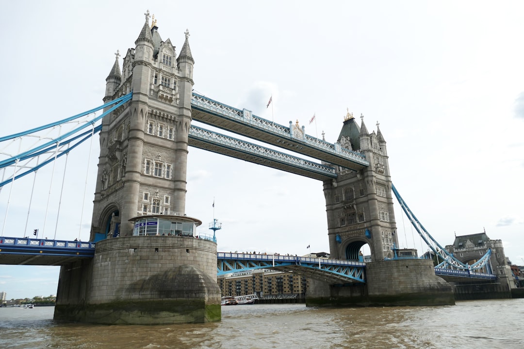 brown bridge during daytime