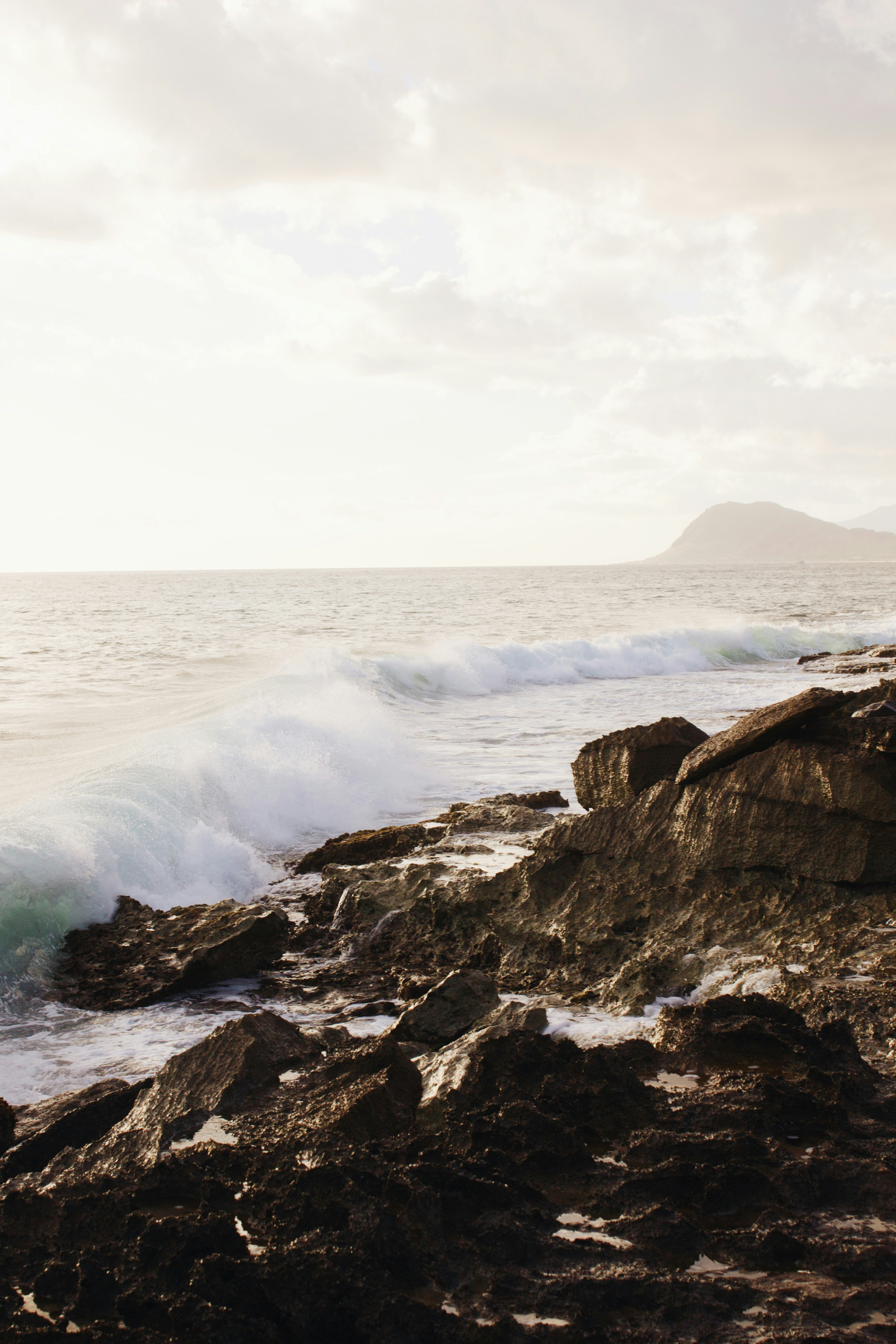 Photo by joyfulcaptures