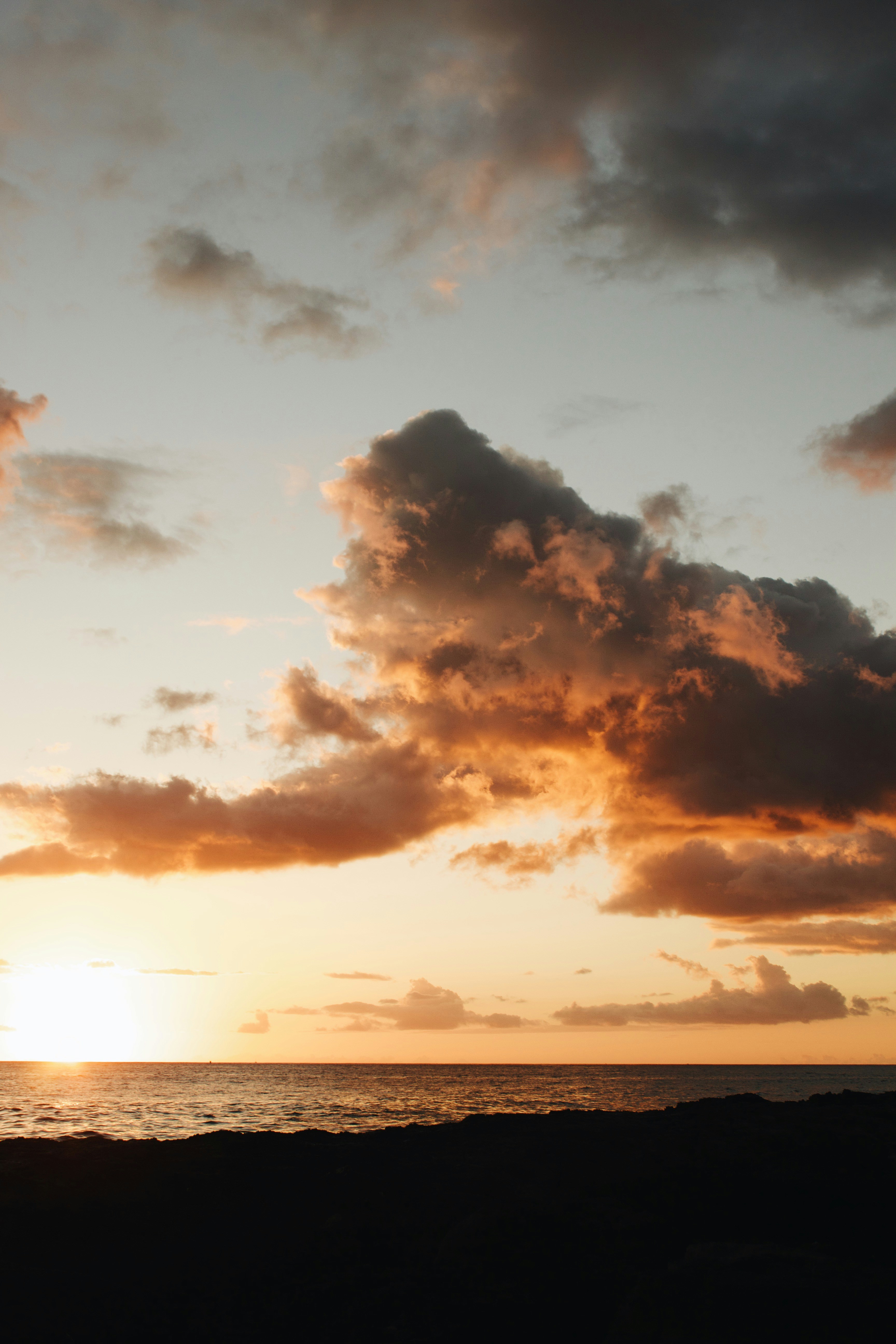 Photo by joyfulcaptures