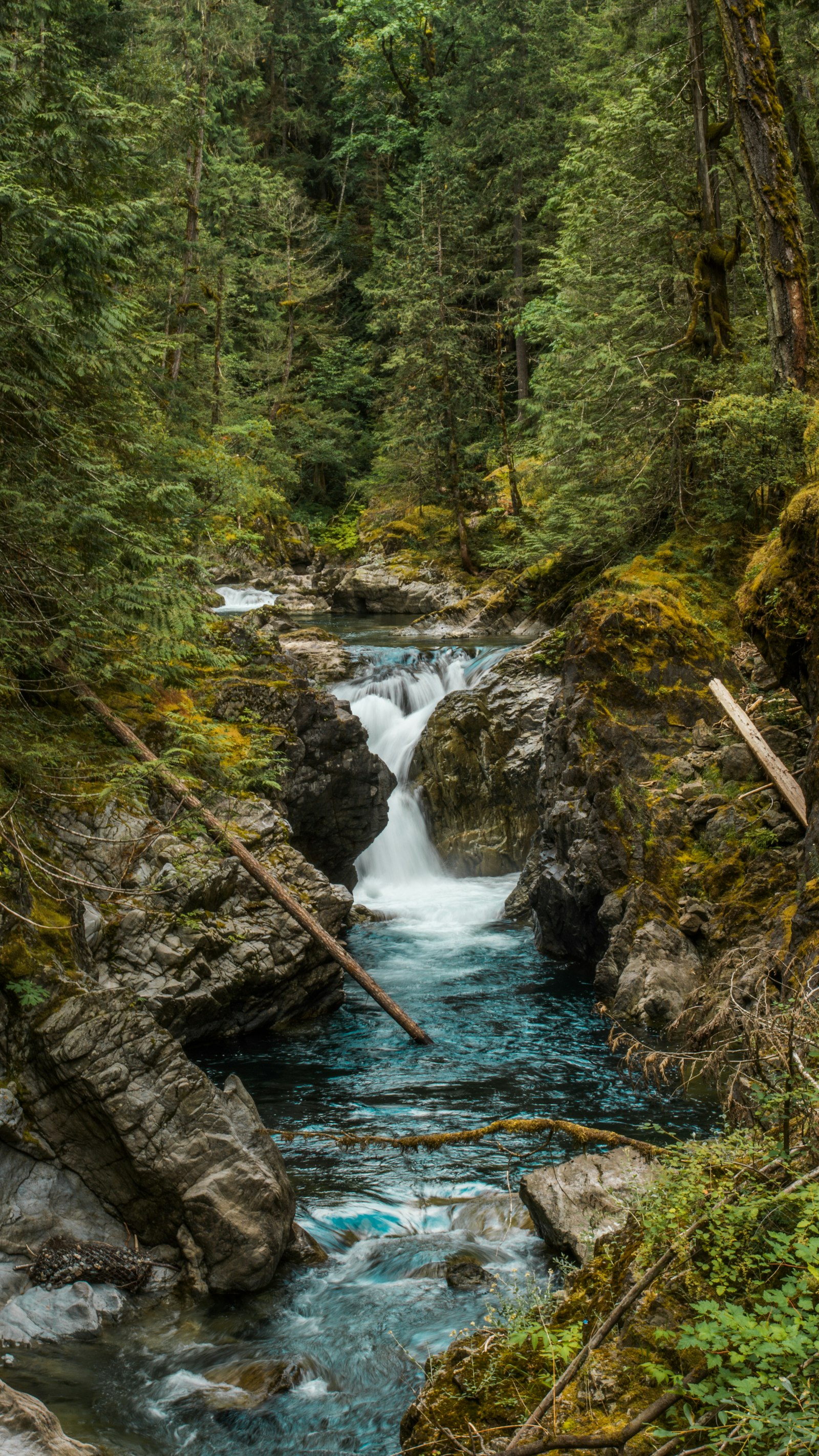 Sony a6300 + Tamron 18-270mm F3.5-6.3 Di II PZD sample photo. River and trees photography