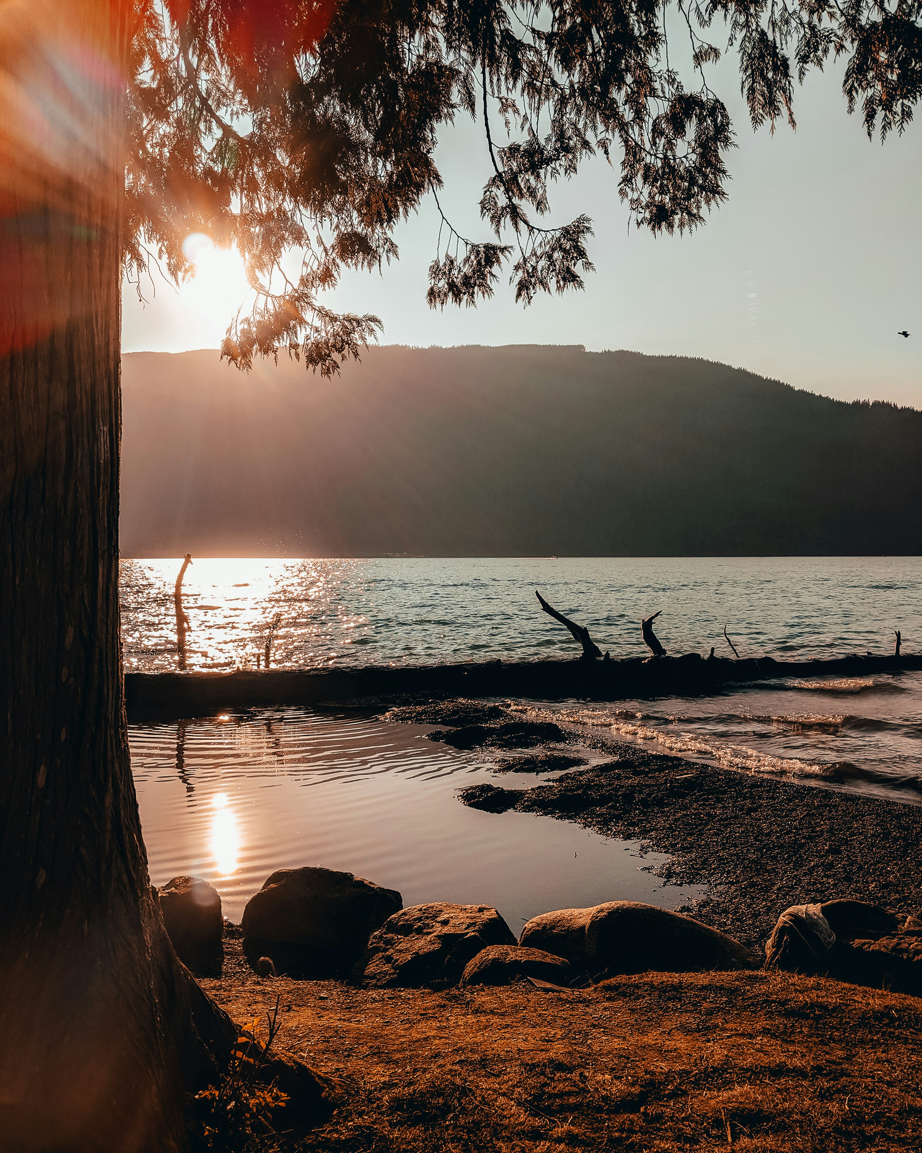 Photo by marcotjokro