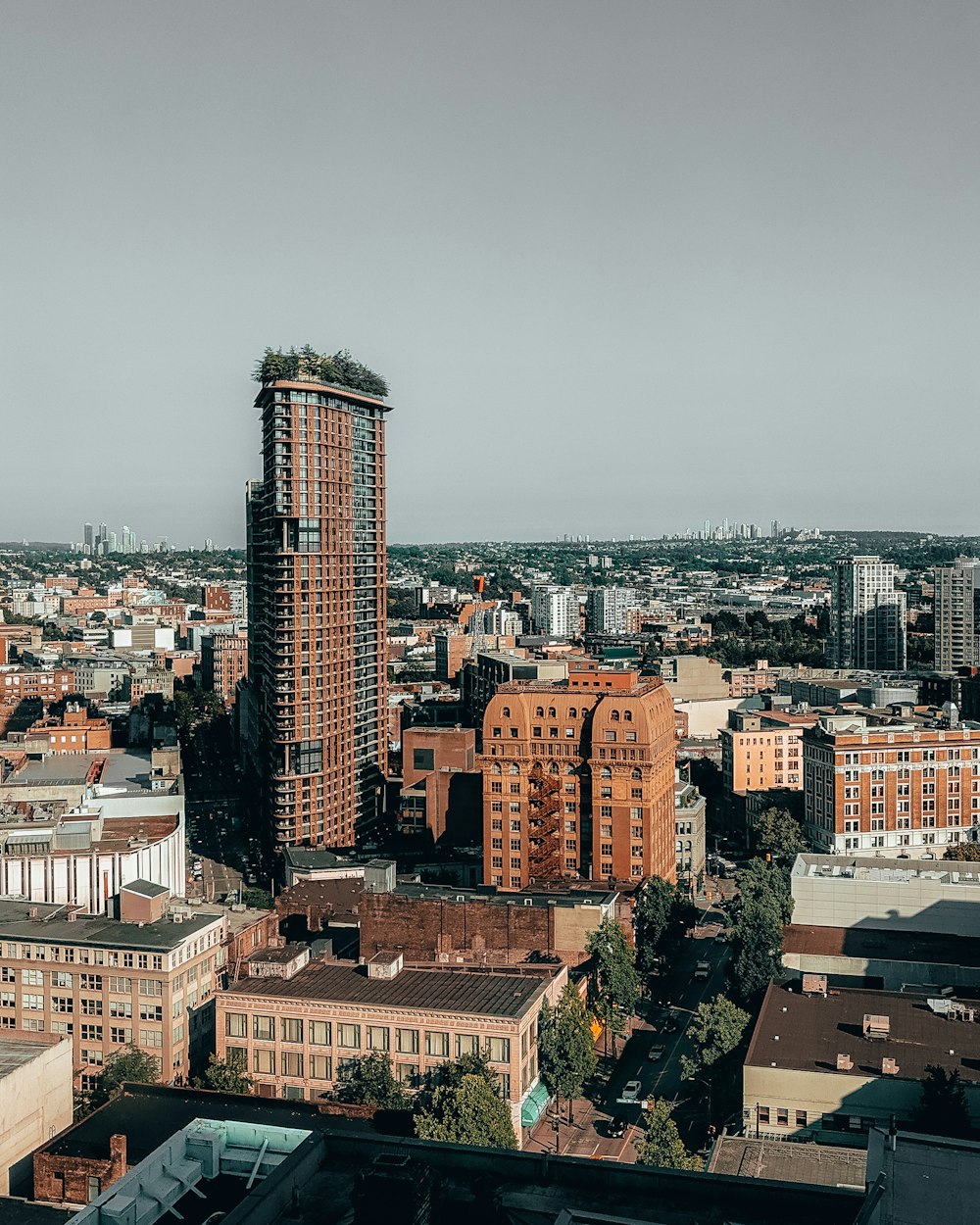 aerial photo of buildings