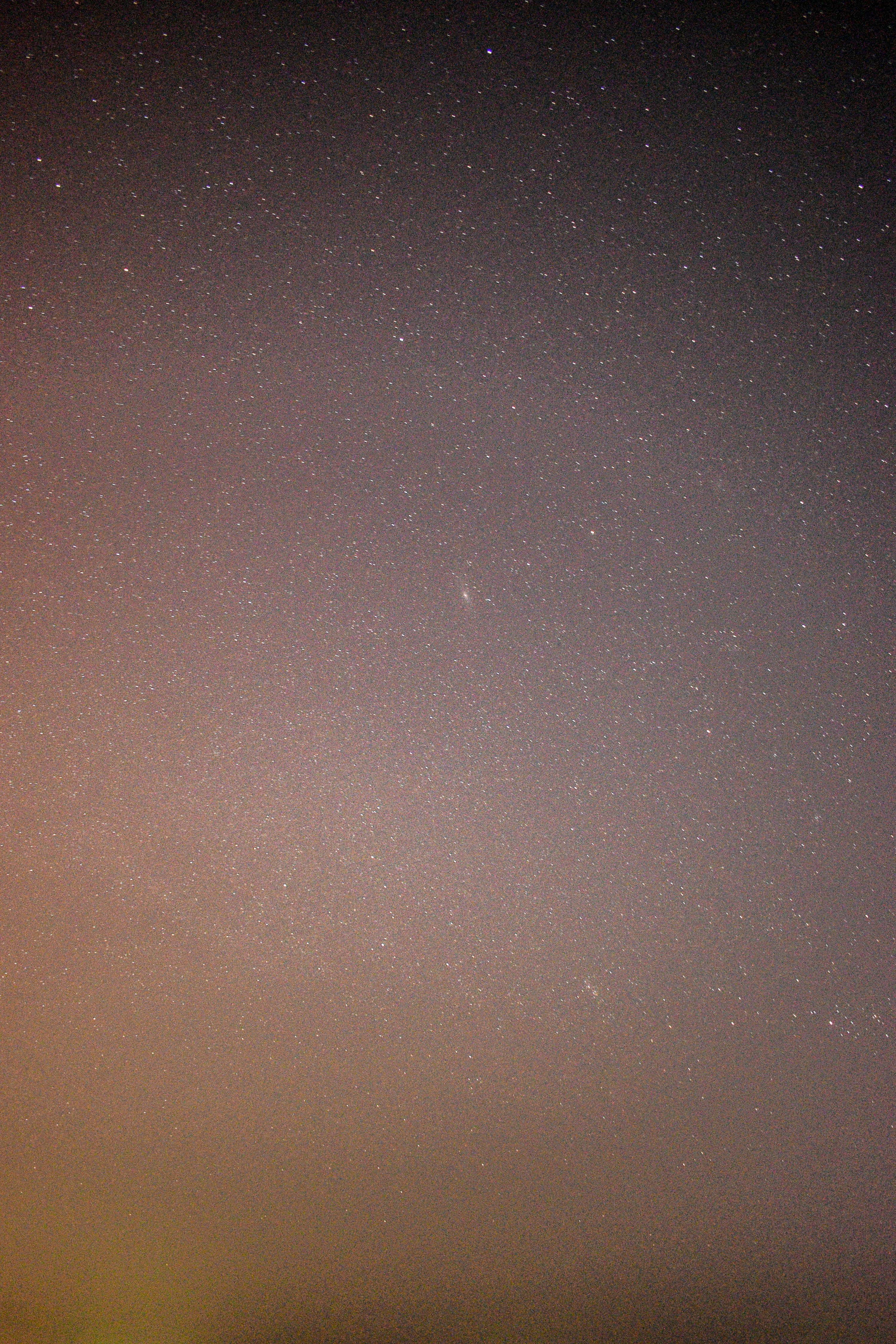 Photo by hikarinoshita