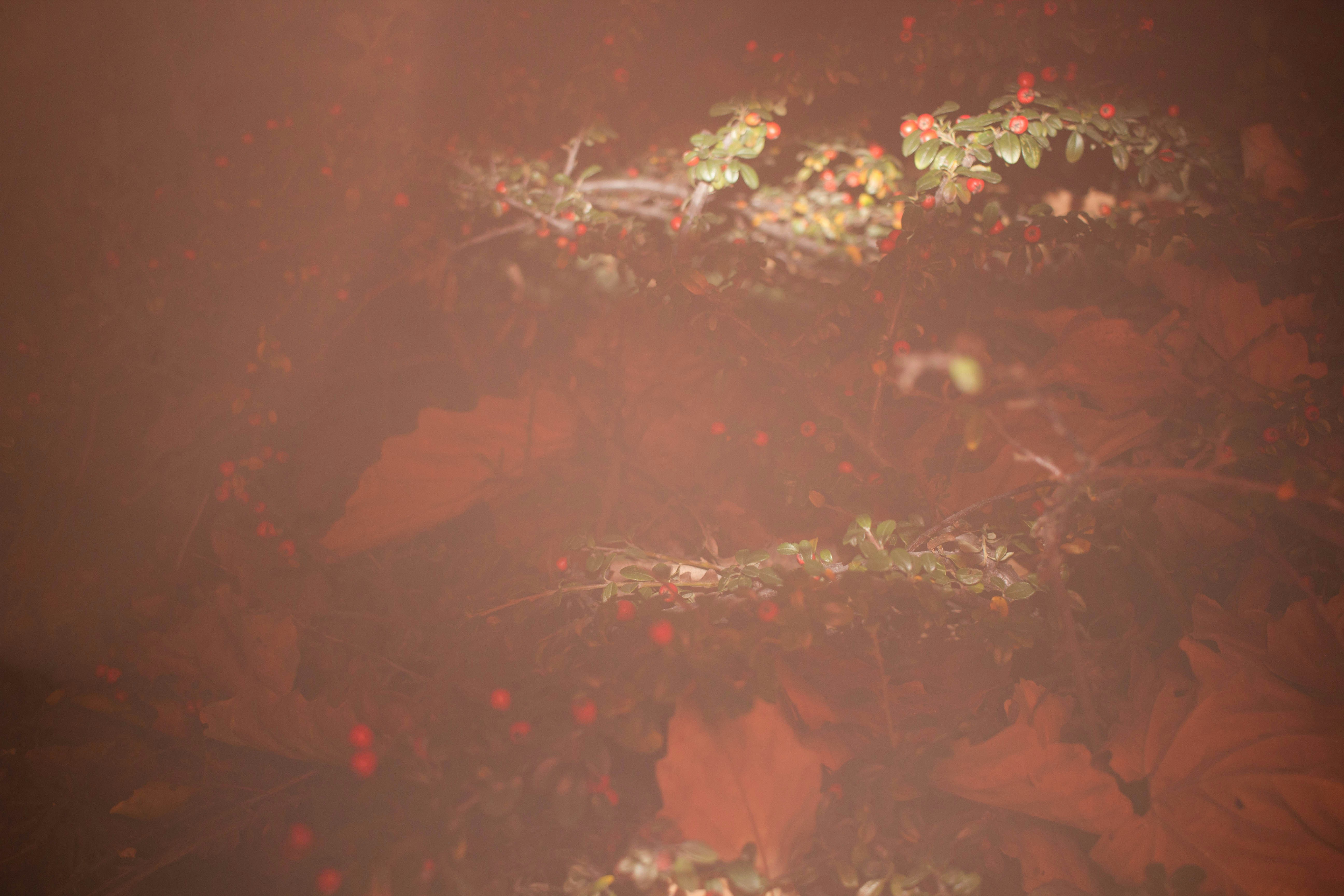 Photo by thefakebhogra