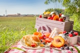 A picnic scene in a field with a wooden crate full of jars and fresh fruits like strawberries, peaches, and berries displayed on a checkered tablecloth. A jar of fruit preserve is open, with a spoon resting nearby. The background shows a lush green field, trees, and a few buildings in the distance under a clear blue sky.