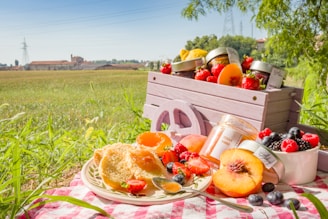 A picnic scene in a field with a wooden crate full of jars and fresh fruits like strawberries, peaches, and berries displayed on a checkered tablecloth. A jar of fruit preserve is open, with a spoon resting nearby. The background shows a lush green field, trees, and a few buildings in the distance under a clear blue sky.