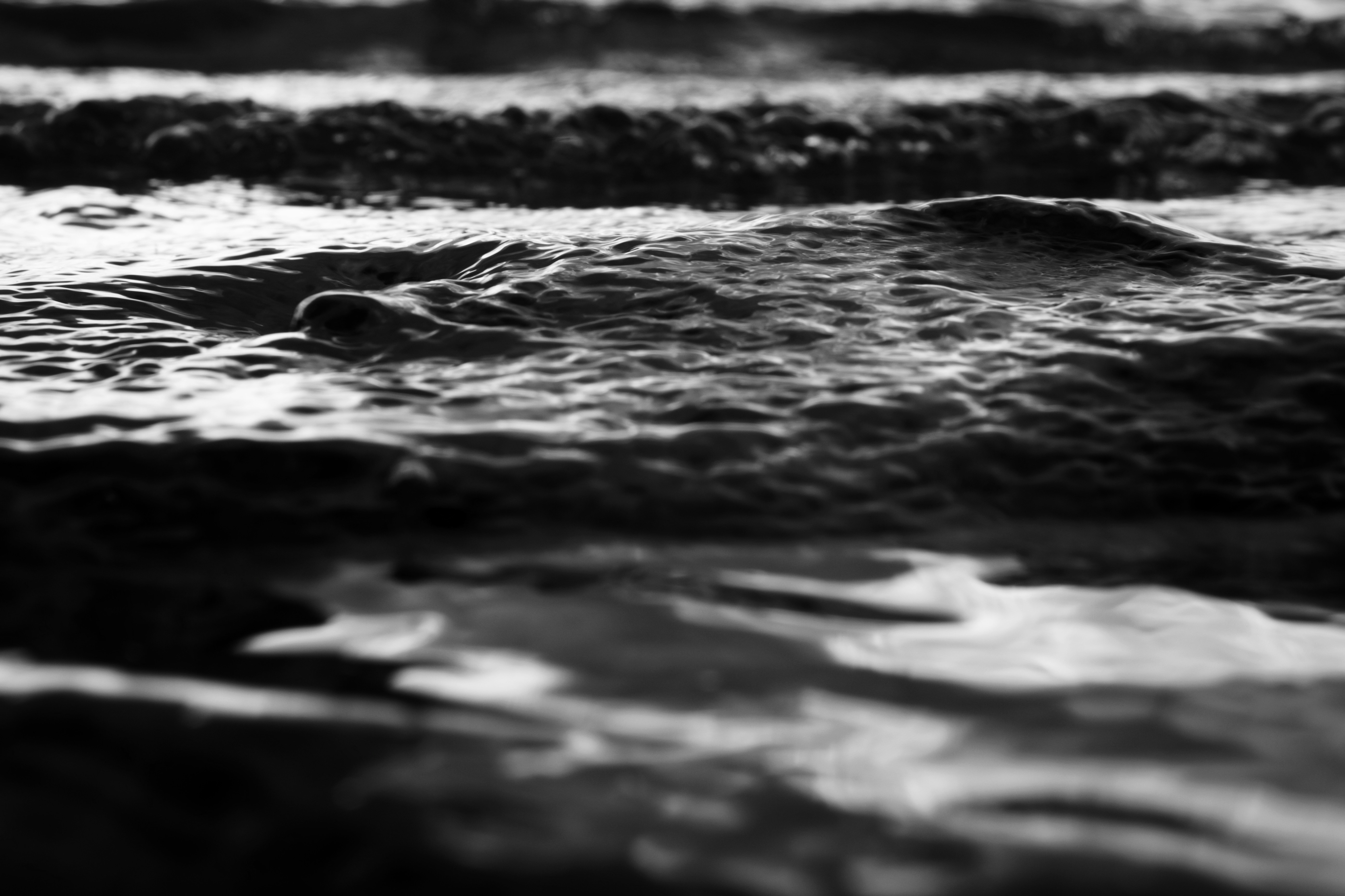 Photo by christianlue