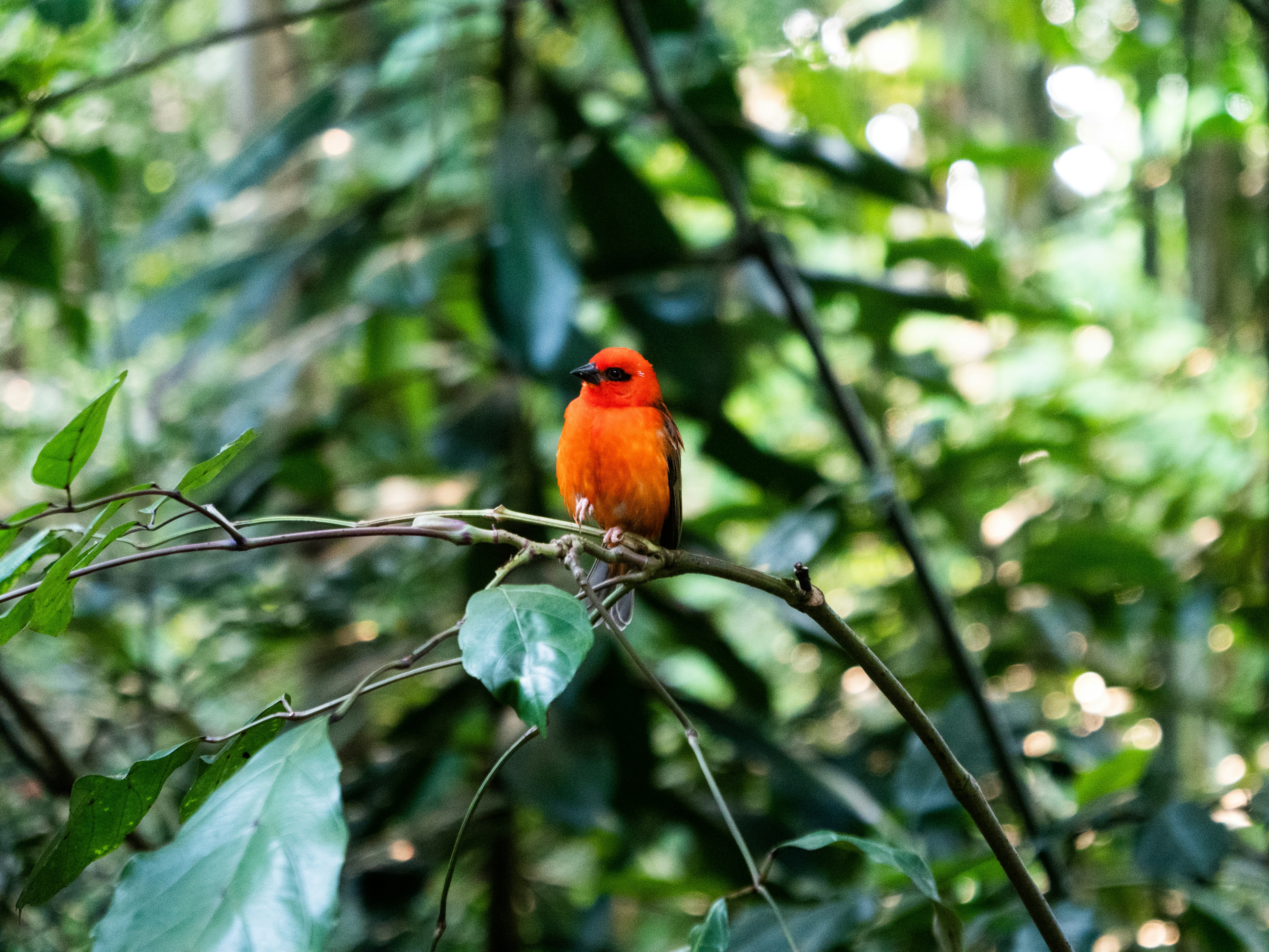 Photo by verstappen_photography