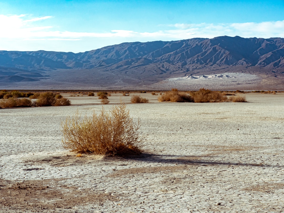 Death Valley Pier