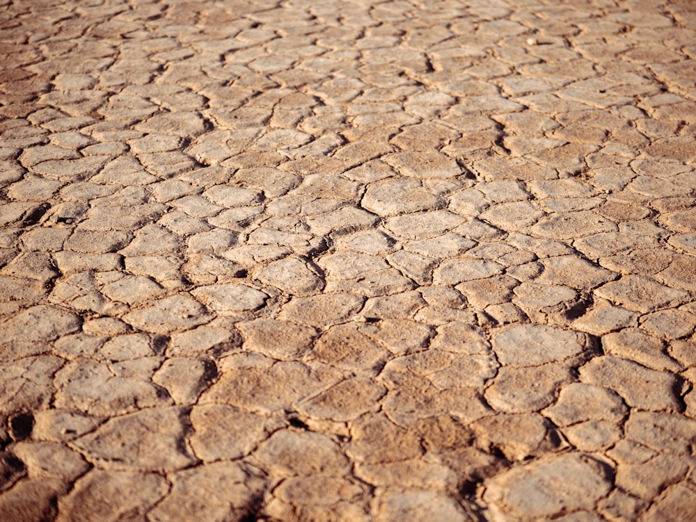 Terres en situation de sécheresse