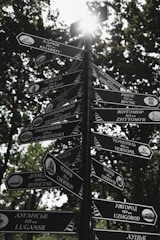grayscale photography of street signages