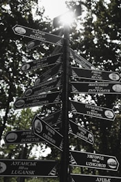 grayscale photography of street signages