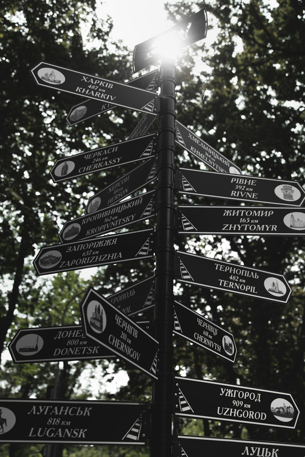 grayscale photography of street signages