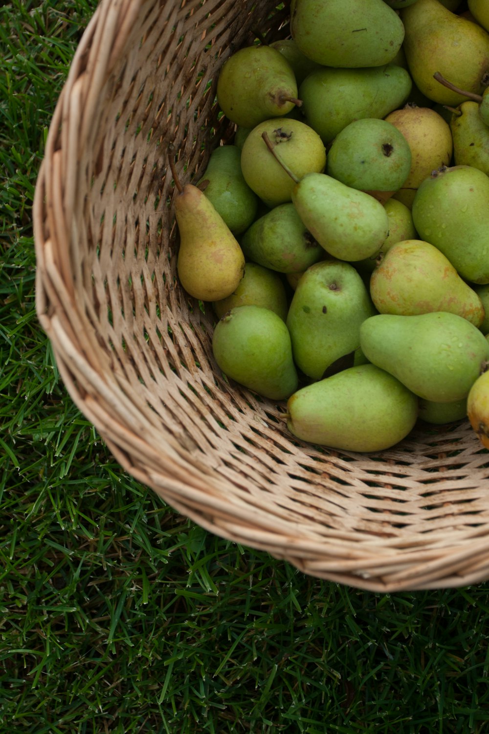 pile of green pears in wicker basket