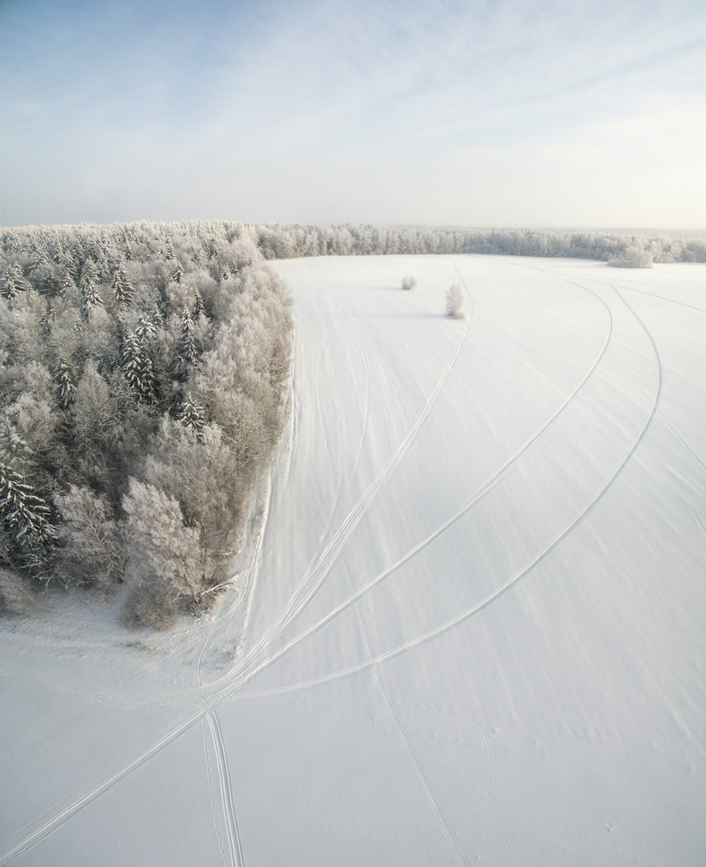 land covered in snow