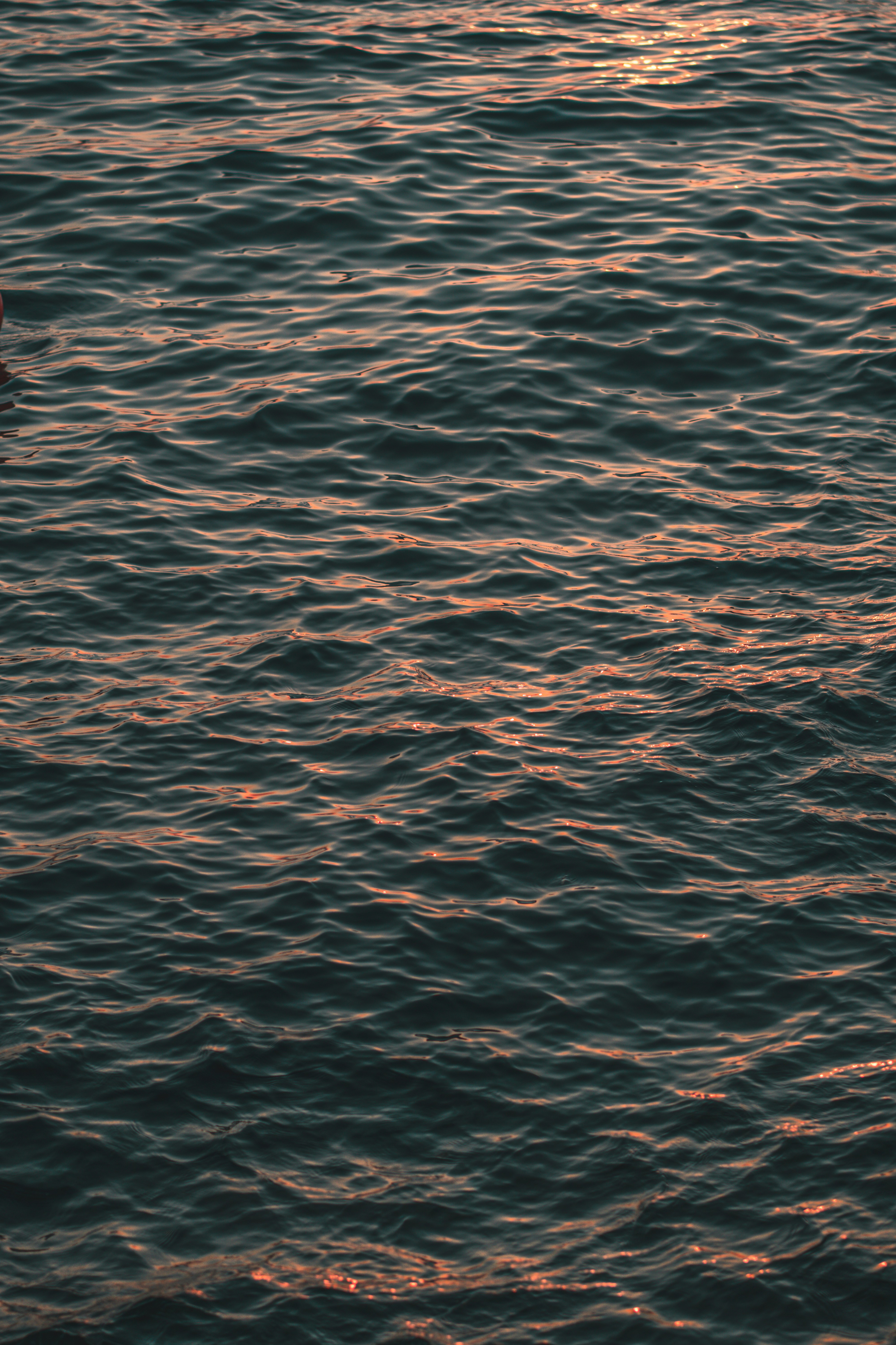 Photo by dav_billings