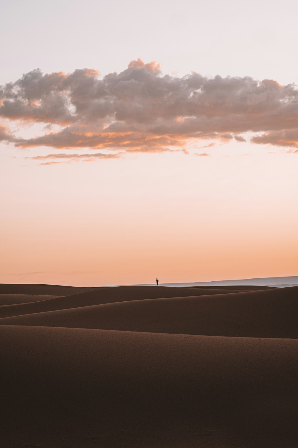 silueta de la persona de pie en el desierto