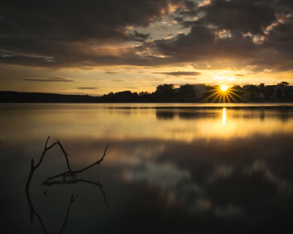 body of water near trees