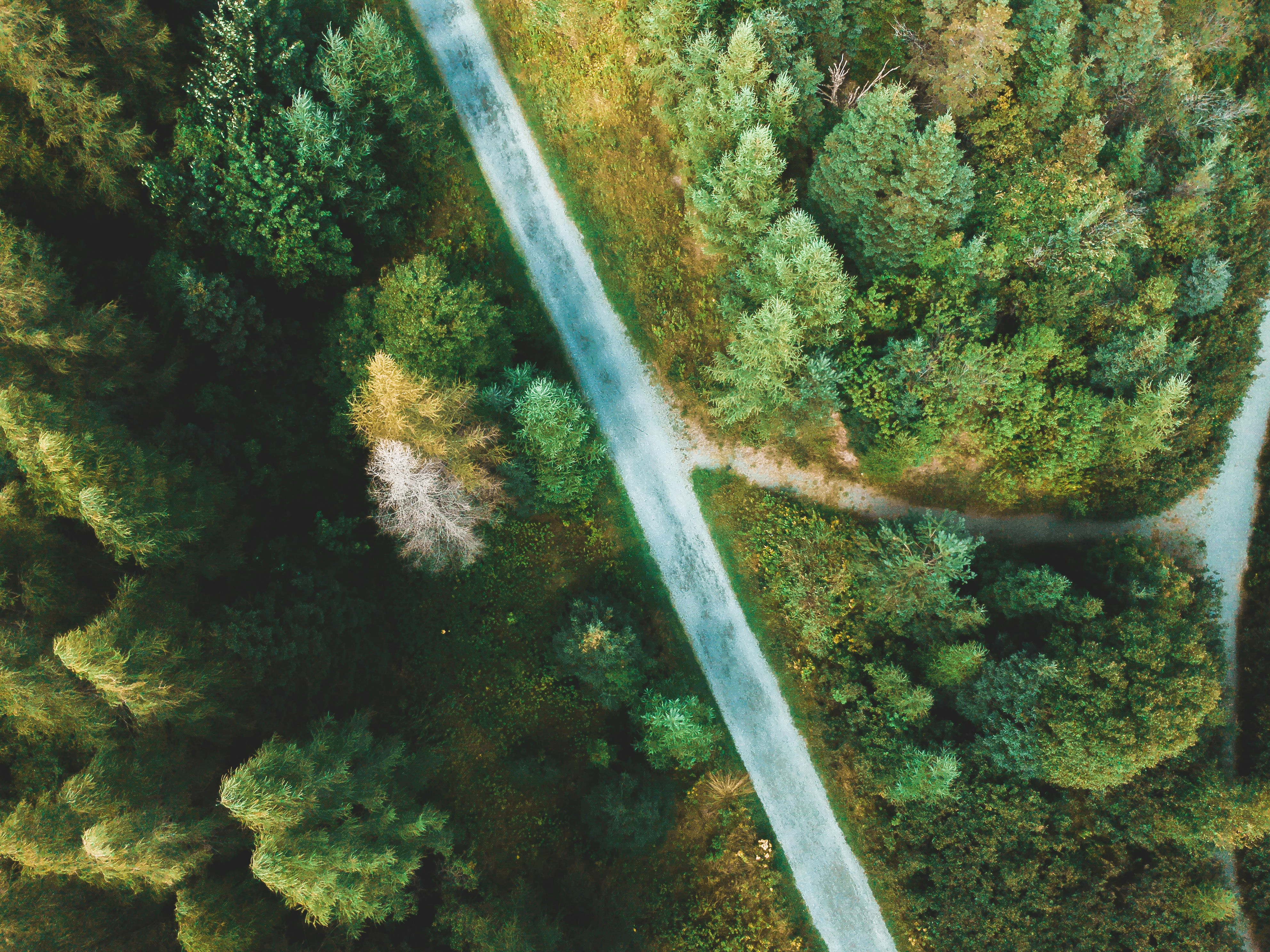 Photo by introspectivedsgn