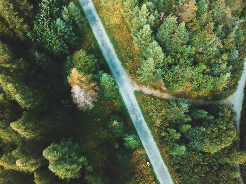 an aerial view of a road surrounded by trees