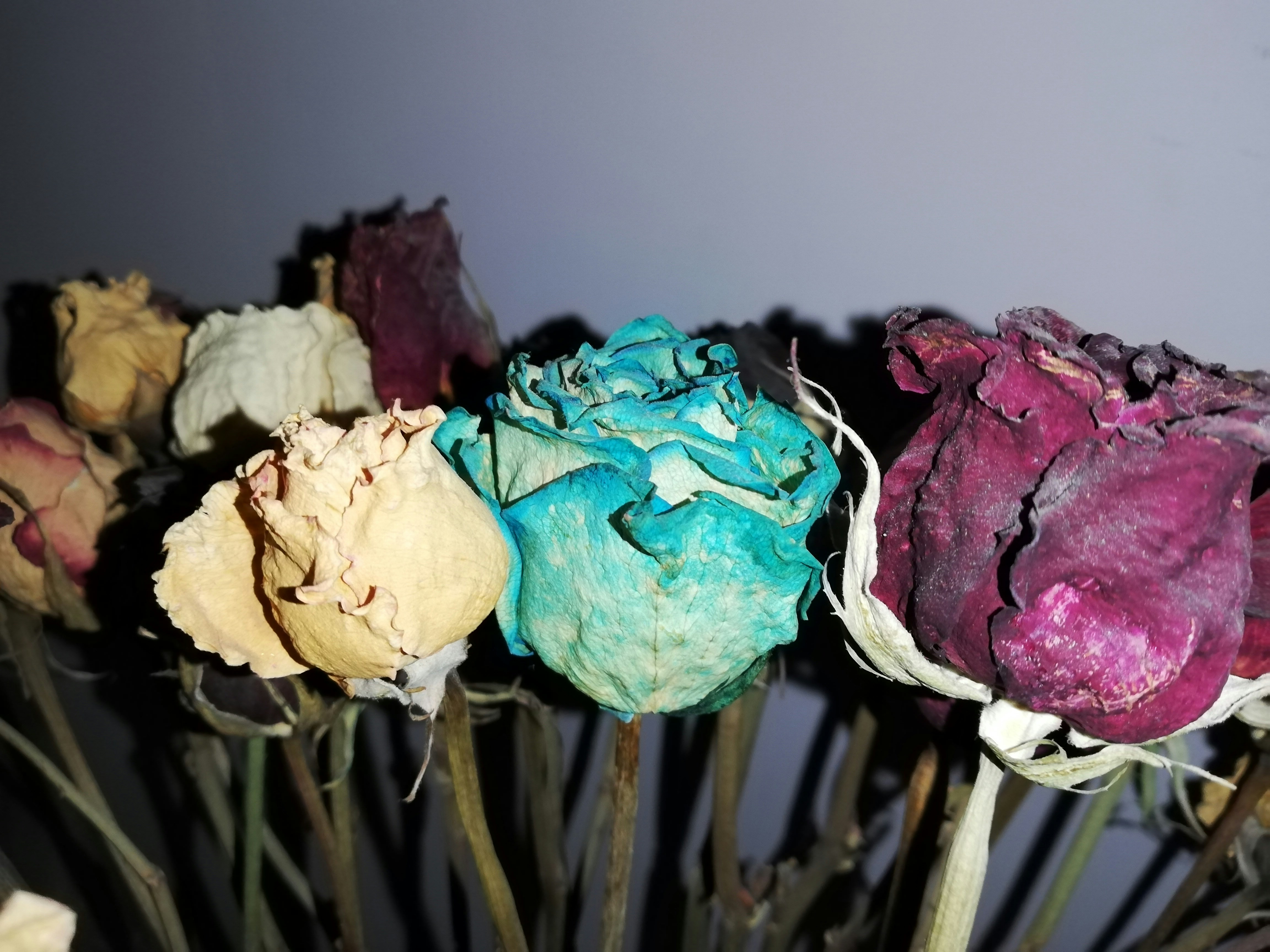 Stunning wholesale preserved roses for sale
