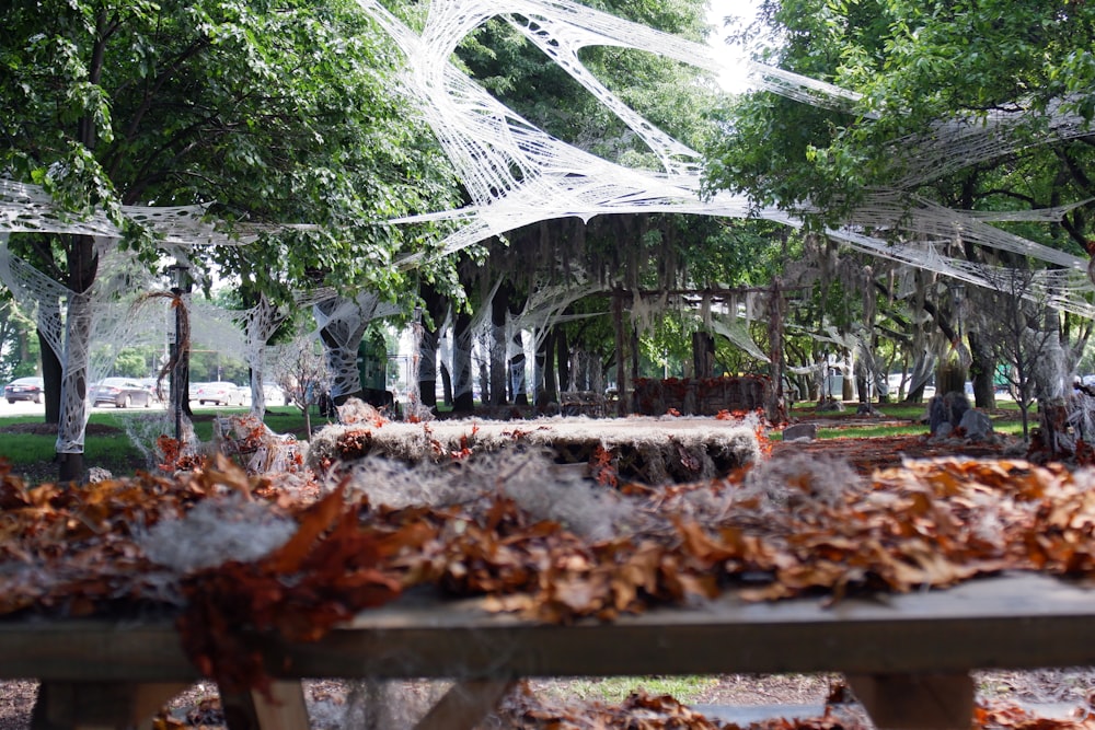 a wooden bench covered in spider webs in a park