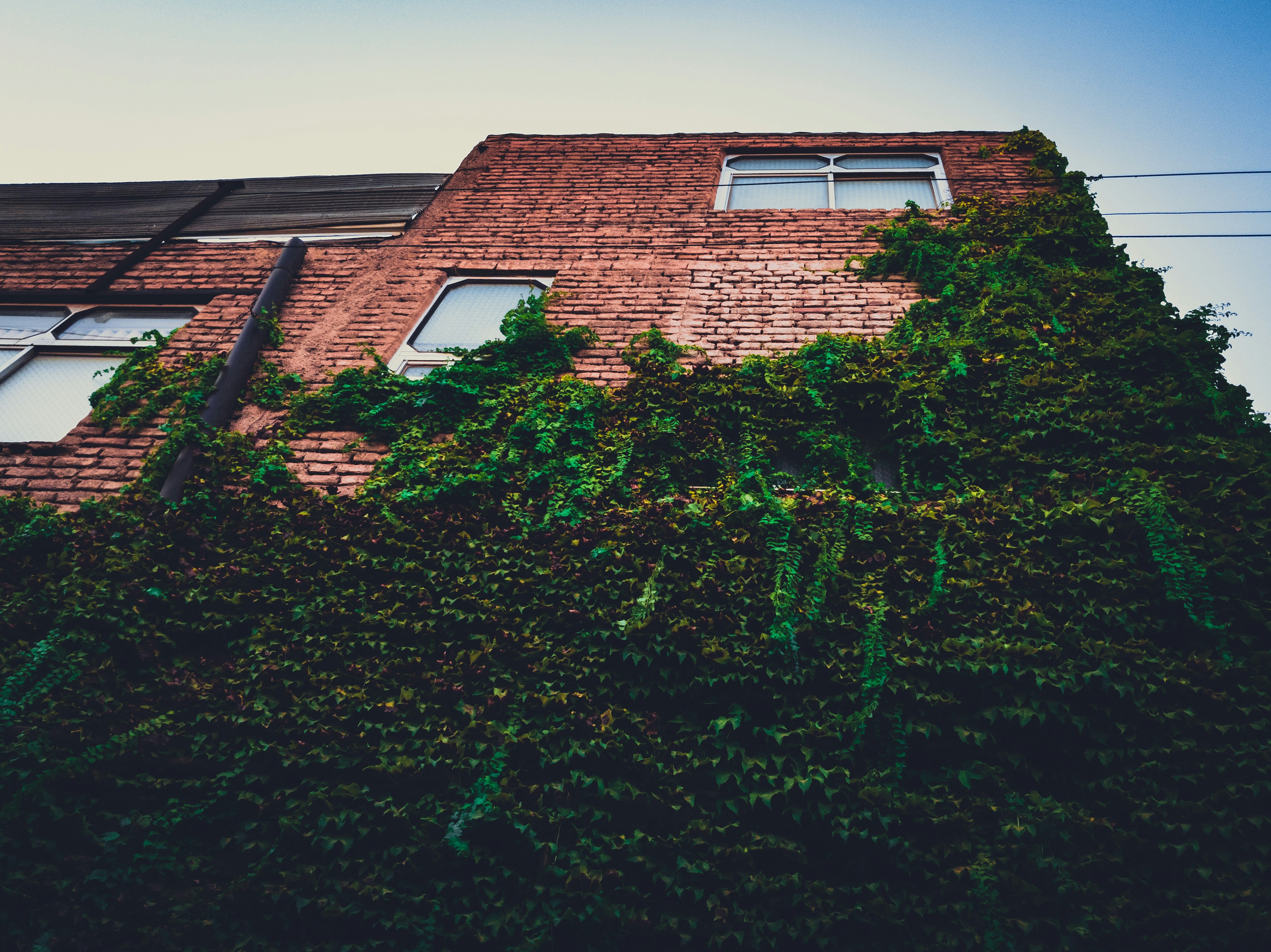 Photo by magsudimohammad