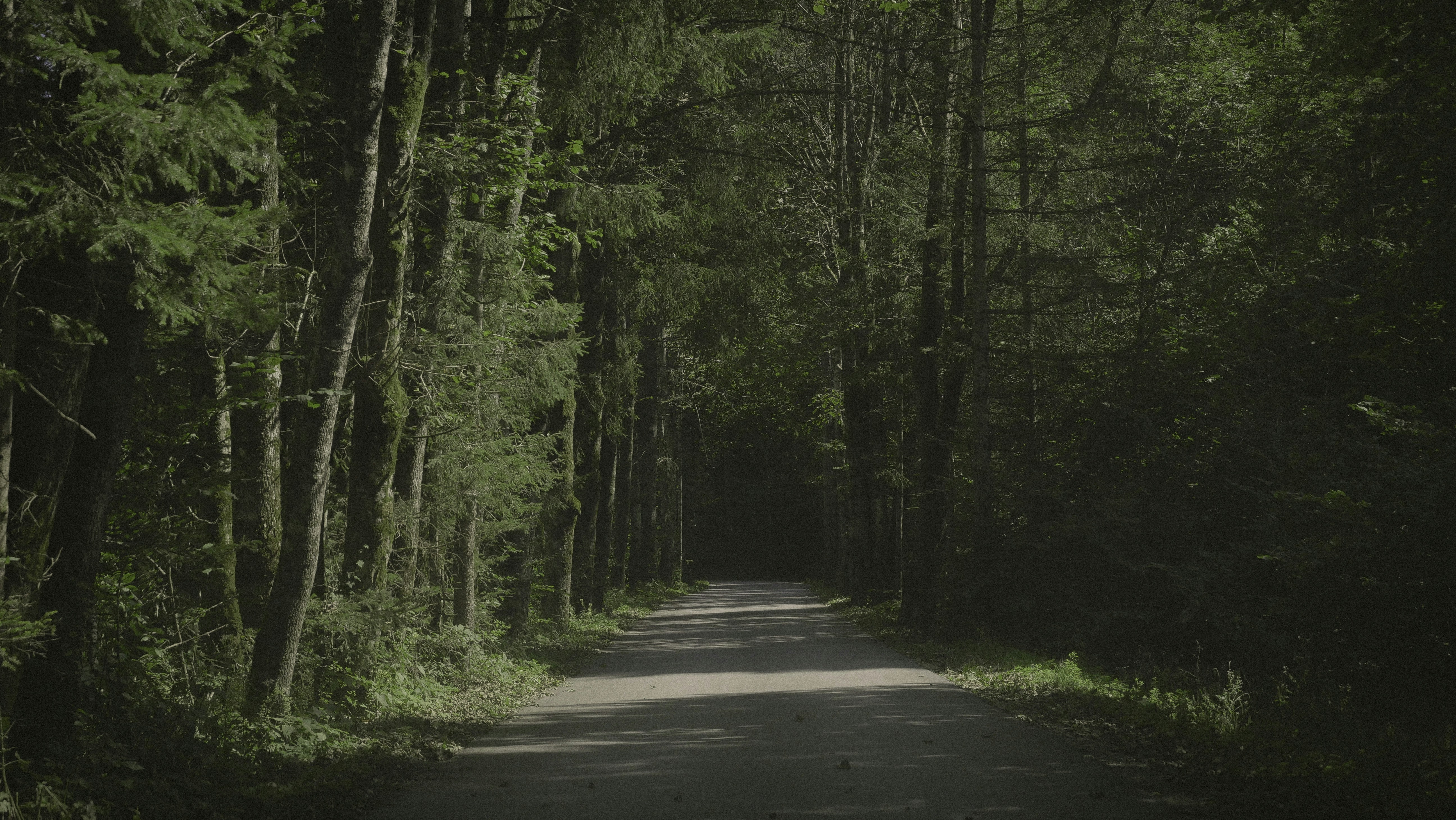 Photo by bencelerier