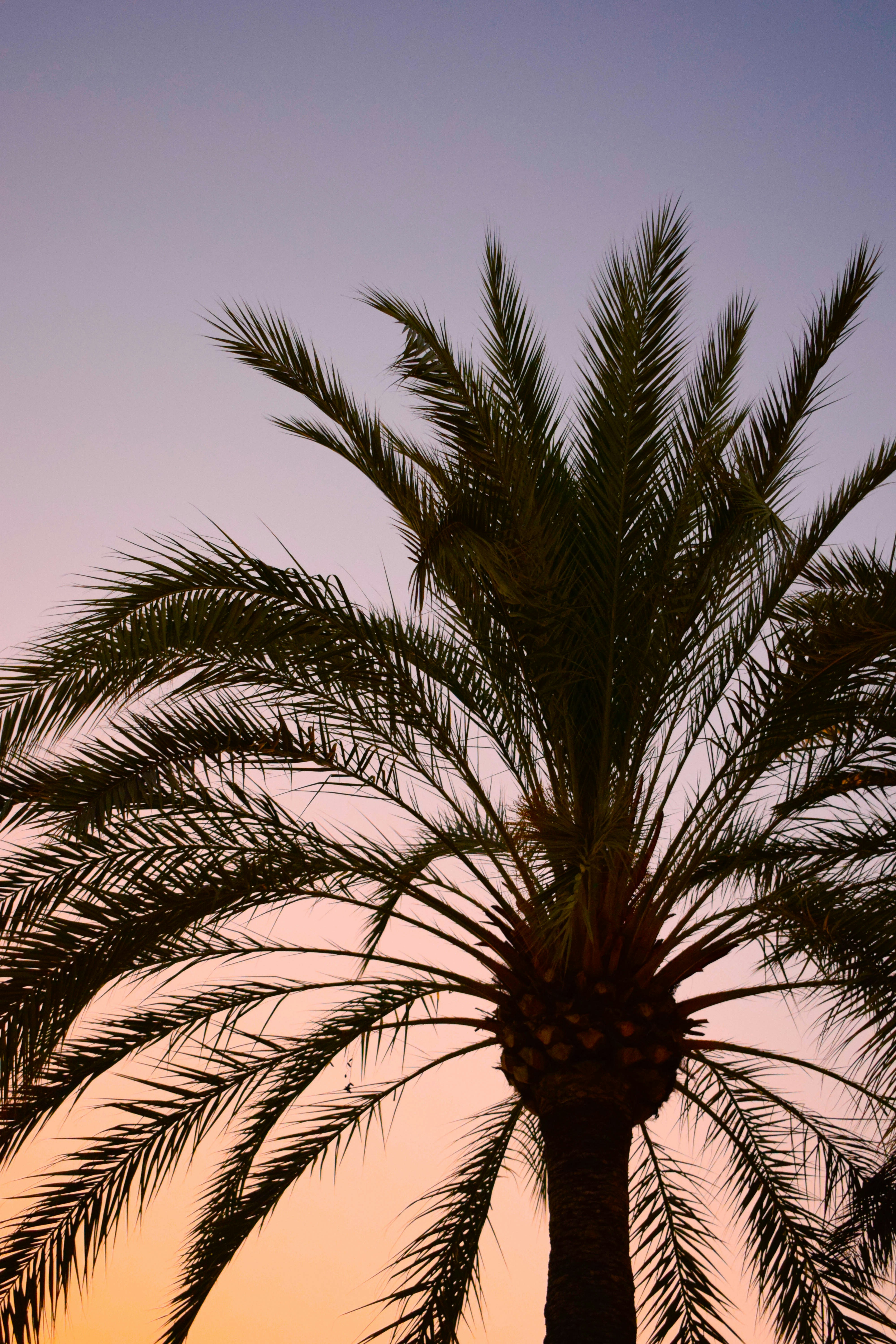 Photo by helenaelizondo