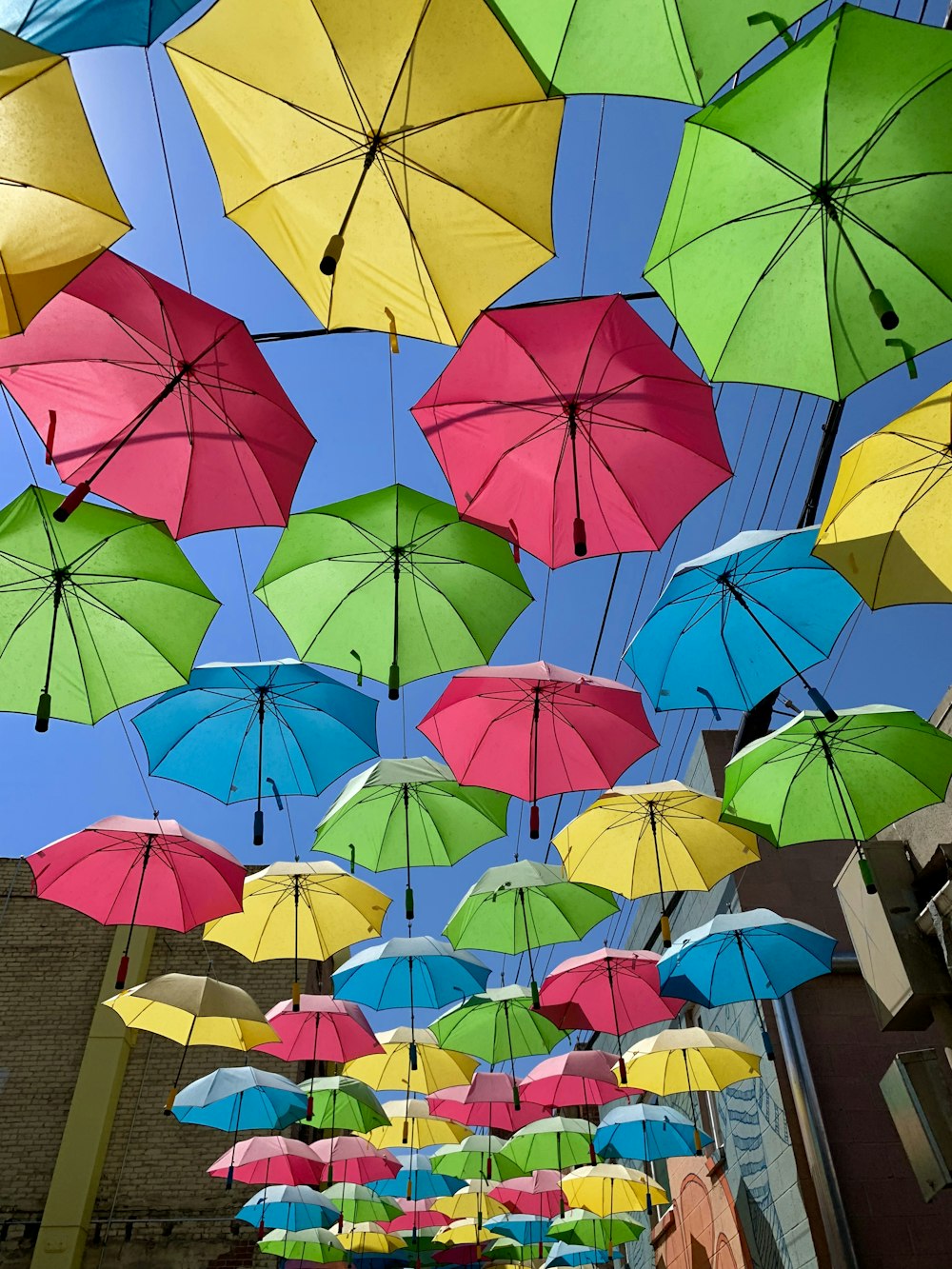 multicolored umbrella wall decor