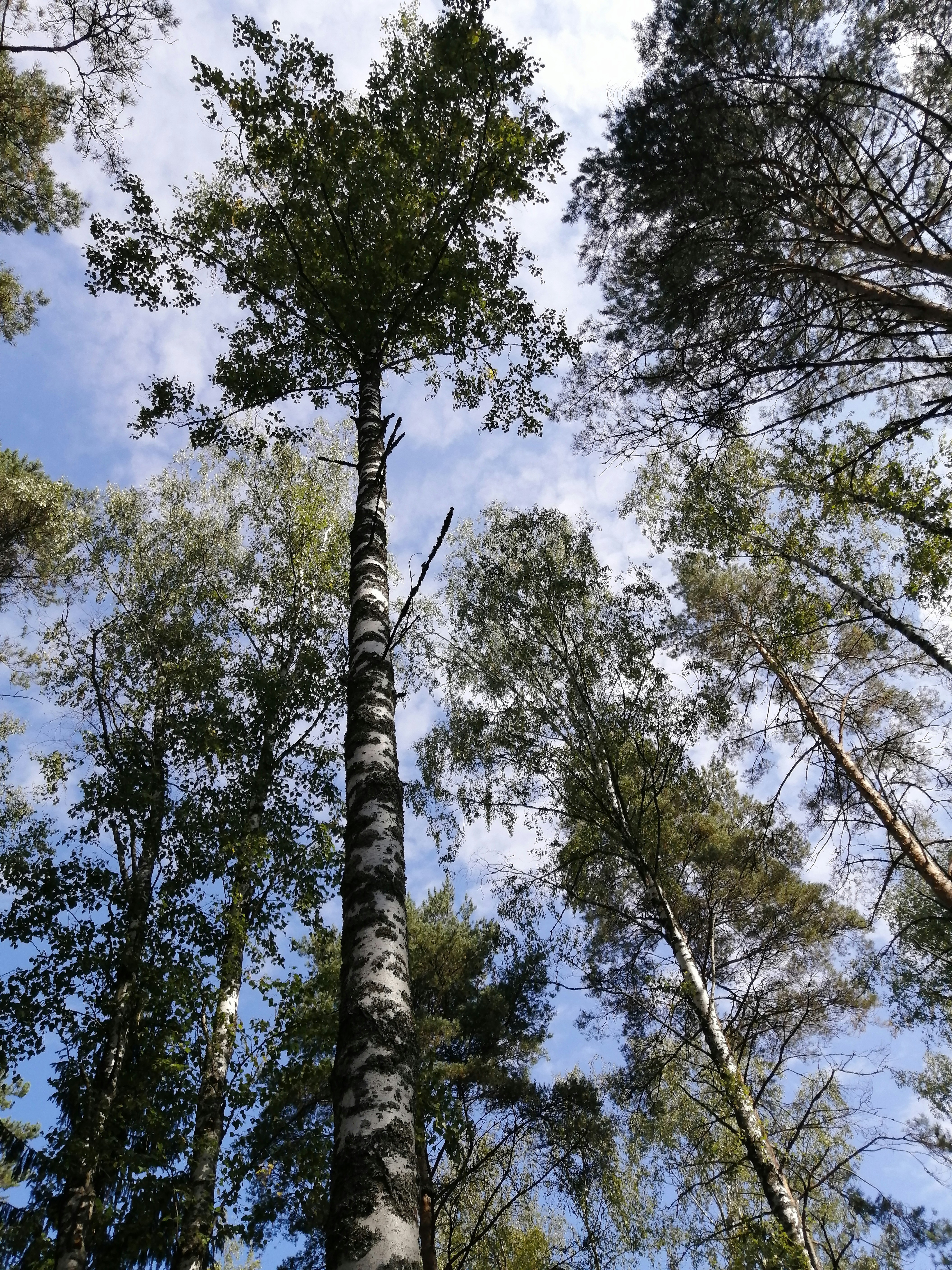 Photo by 30112007roma