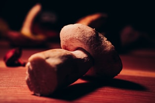 porcini mushrooms valle varaita piemonte
