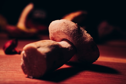 porcini mushrooms valle varaita piemonte