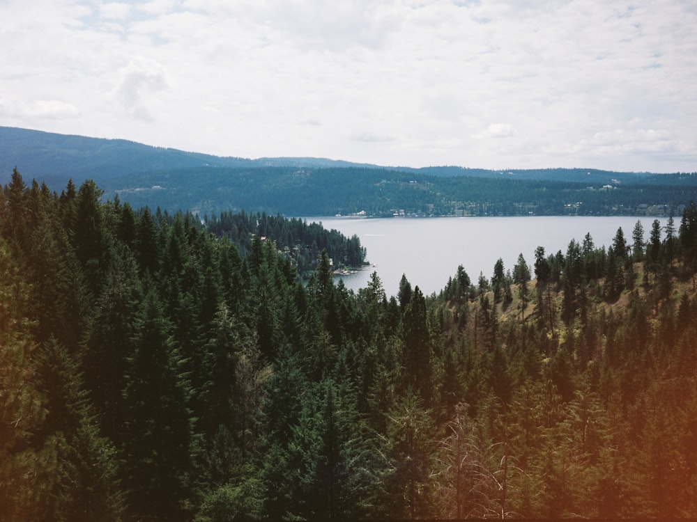 lake viewing mountain under white skies during daytime