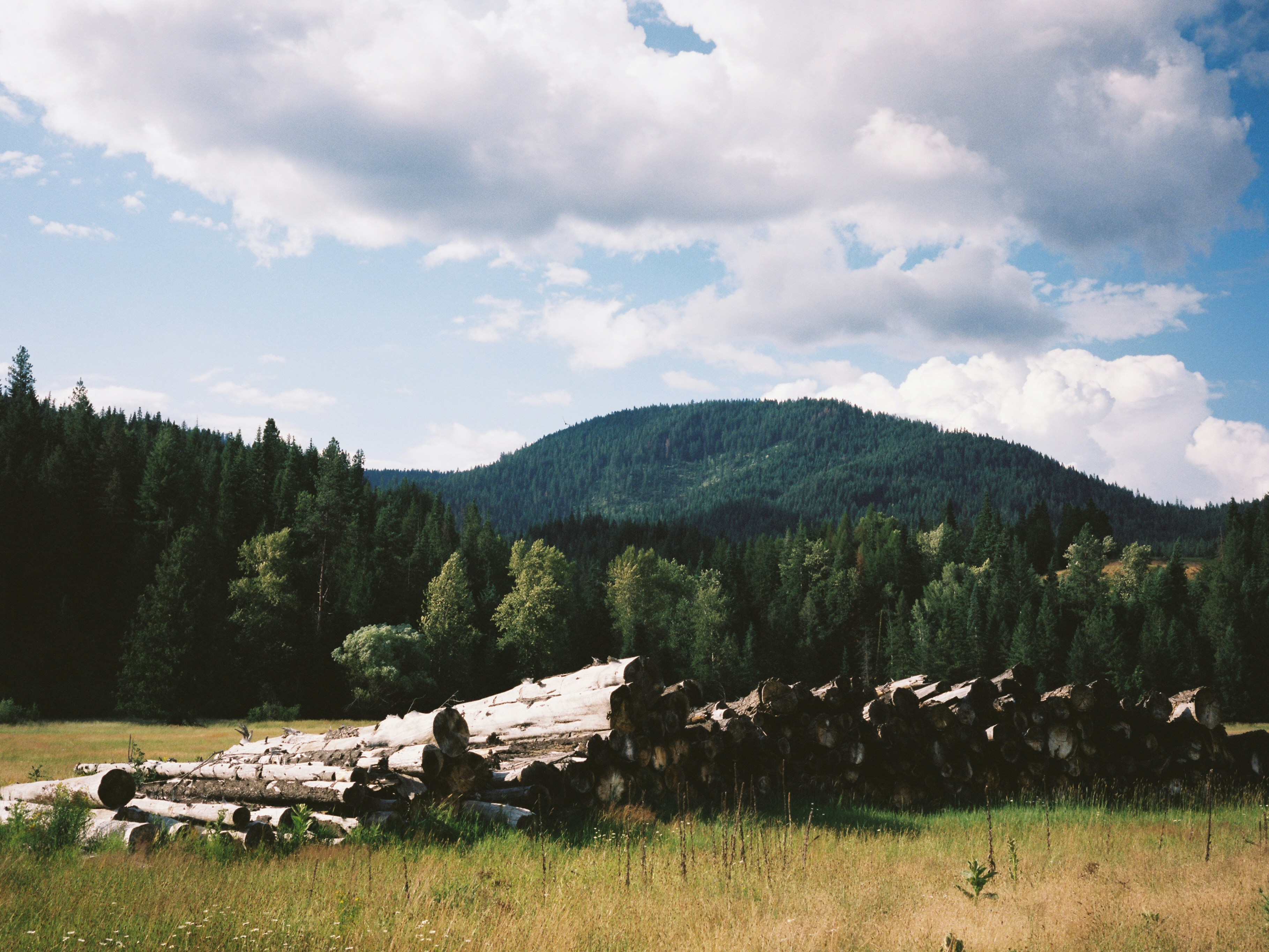 Photo by deadbolttay