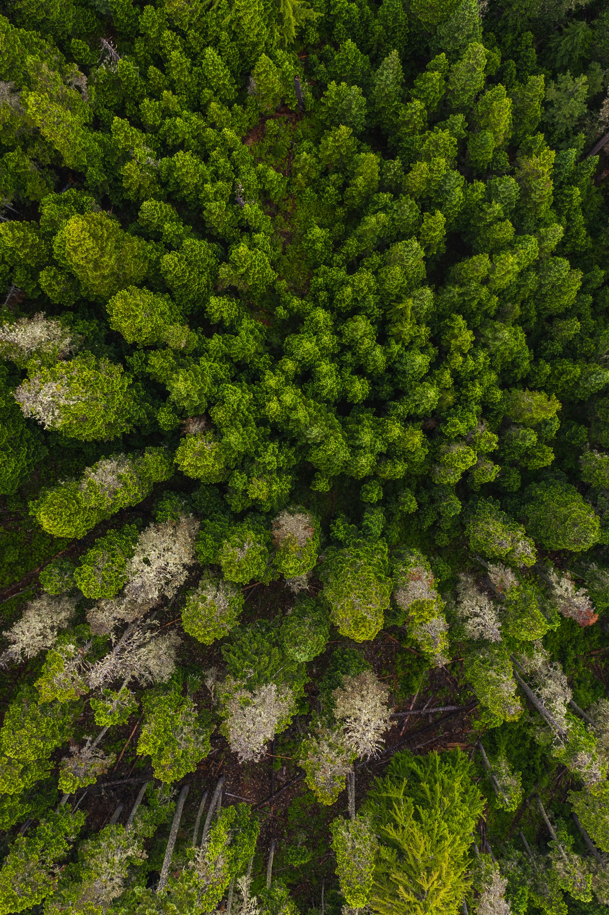 Photo by deadbolttay