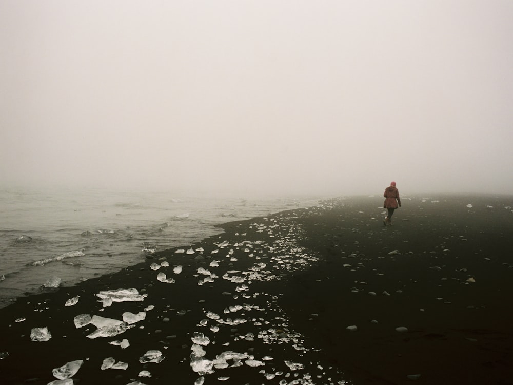 person walking on shore