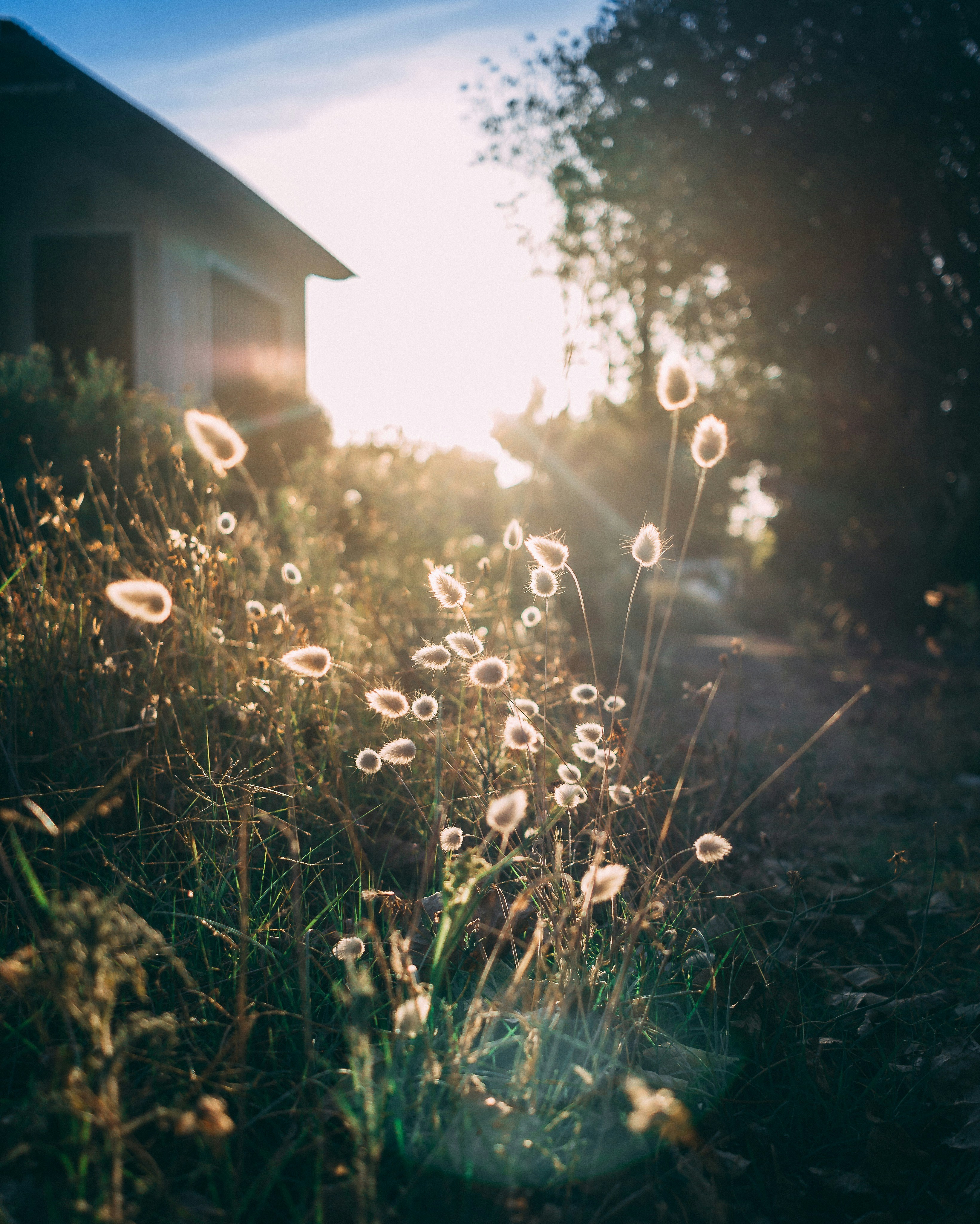 Photo by juantasstic