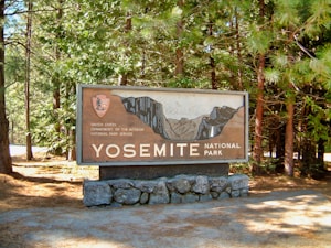 A large wooden sign is set against a backdrop of tall green pine trees and a sunlit forest. The sign features the text 'Yosemite National Park' with a carved illustration of a mountainous landscape. Stones form the base of the sign.