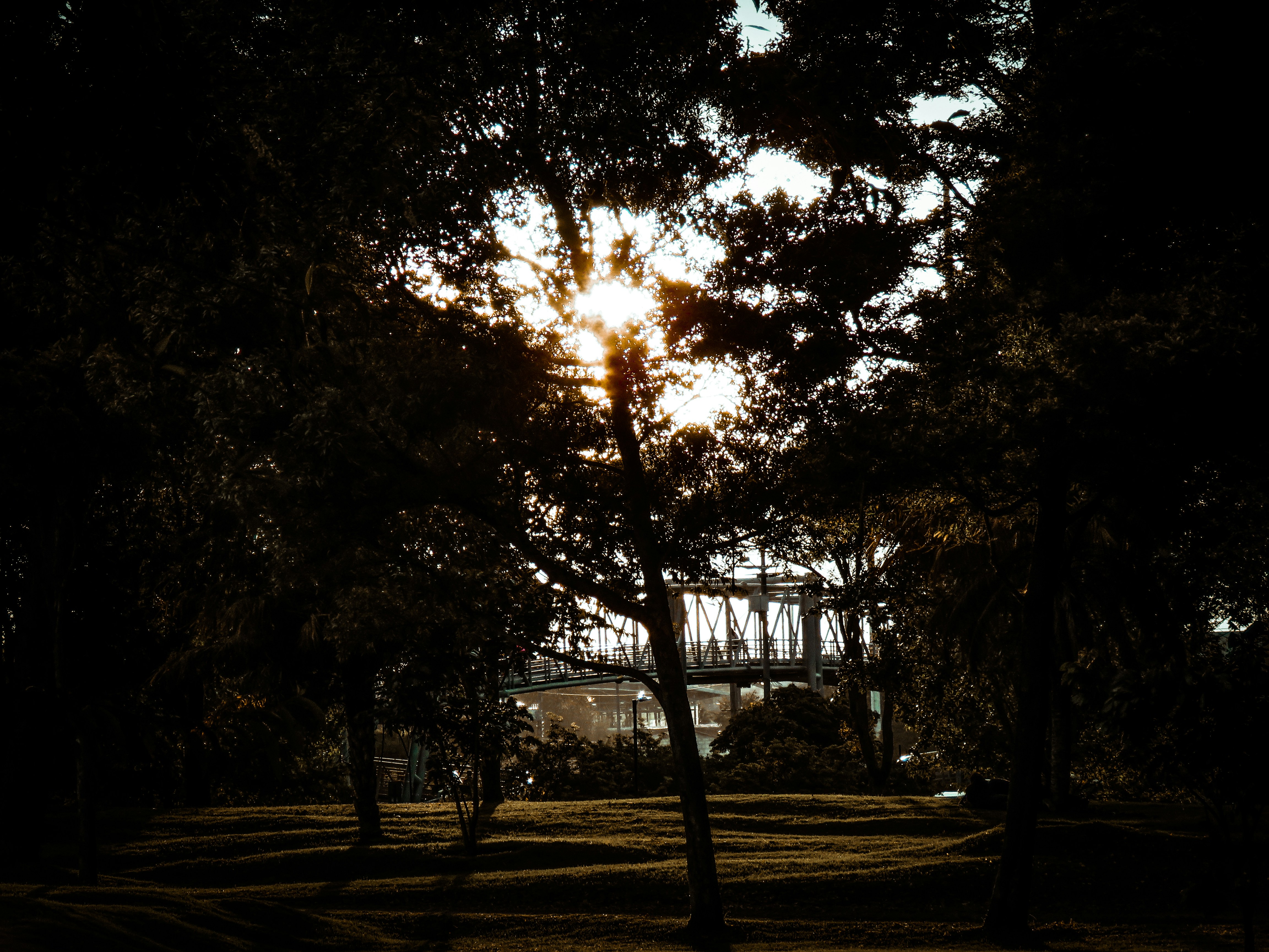 Photo by carlosandres11