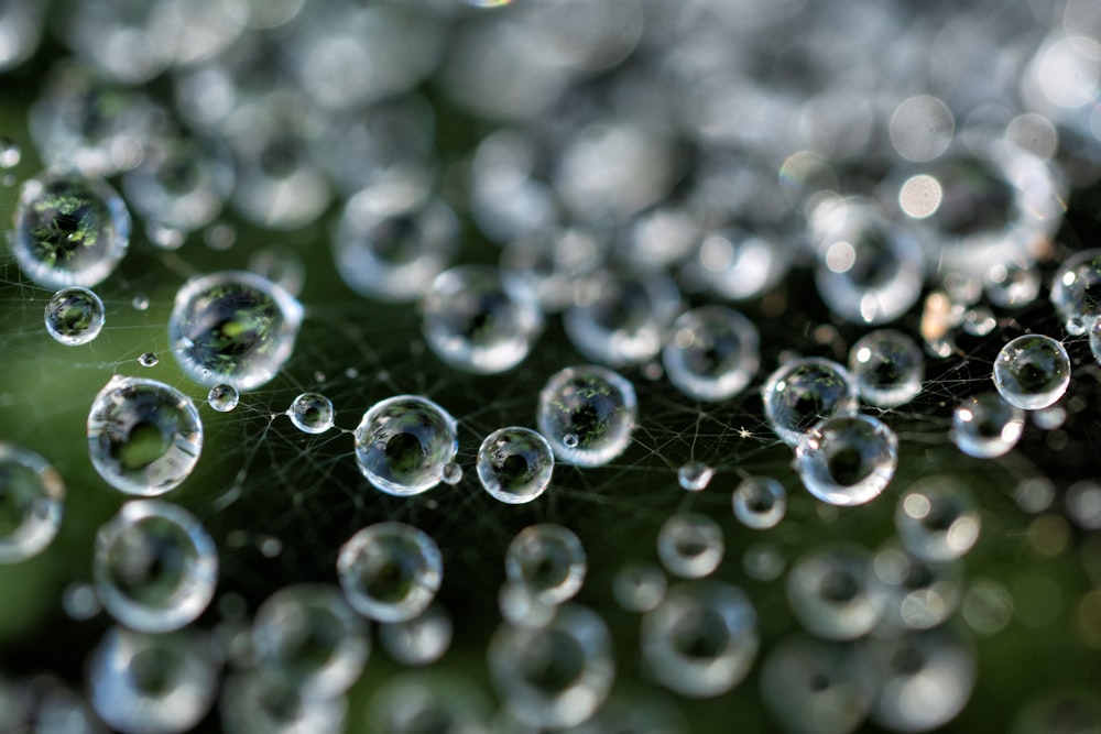 a close up of water droplets on a leaf