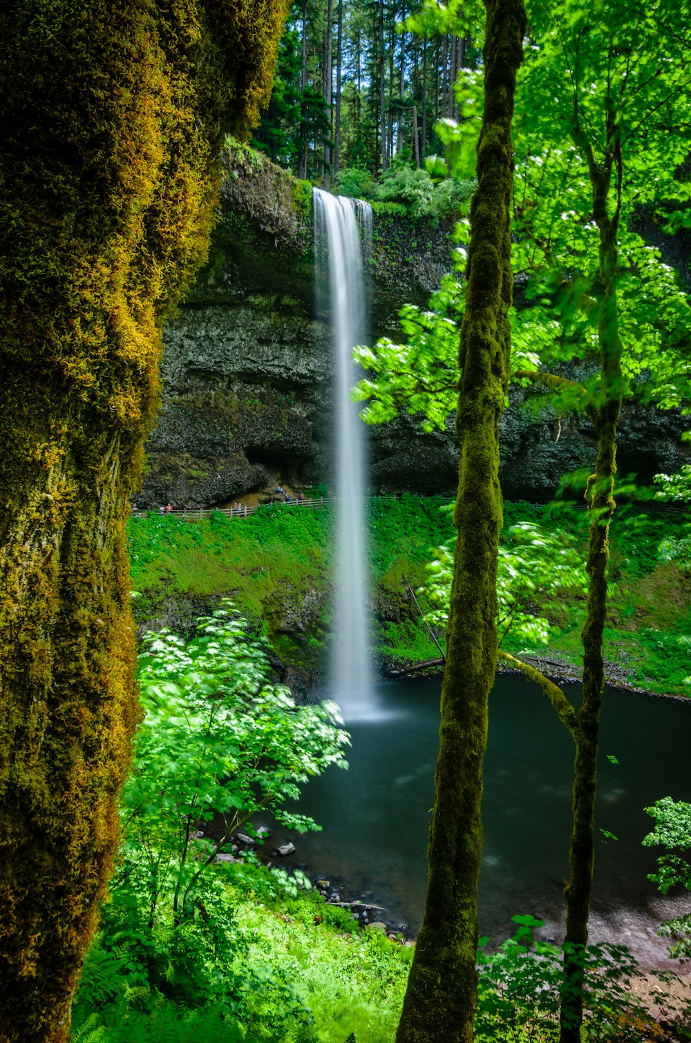 close-up of waterfalls